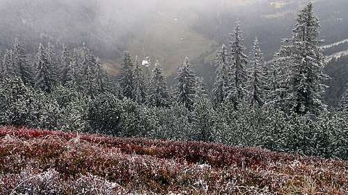 Neuberg meadows from below Gerzkopf