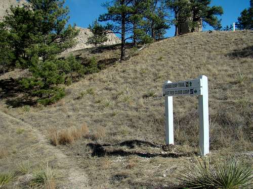 Upper Trail Junction