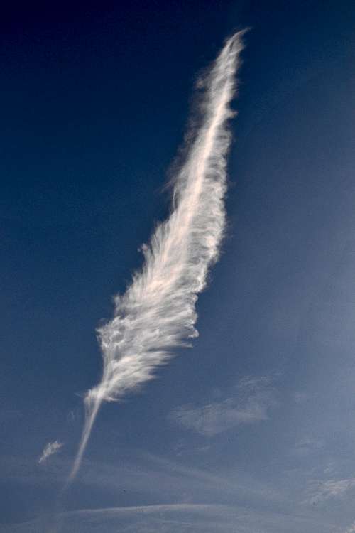 A cloud in the perfect shape of a feather