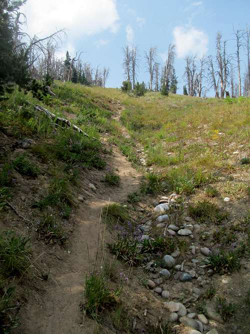 steep trail up Leidy