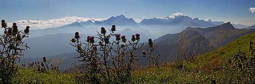 Golica panorama with thistle