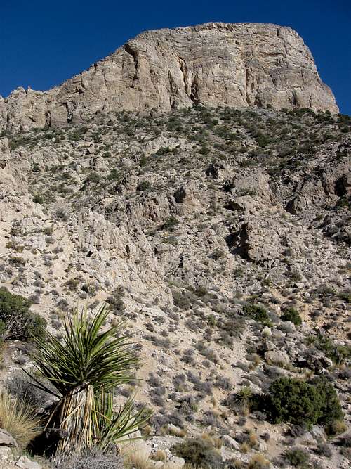 West Face of Turtlehead Peak