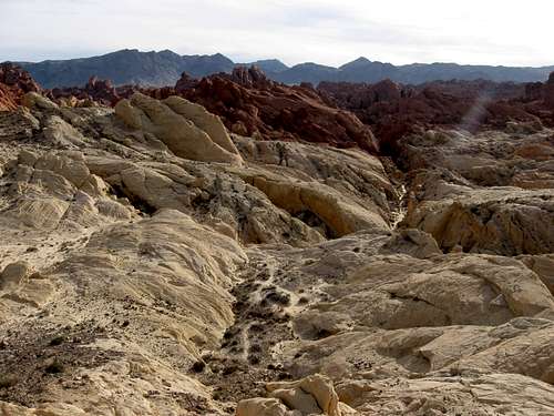 Typical Valley of Fire Scene