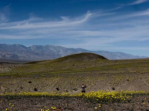 Desert Gold & the Panamint Range