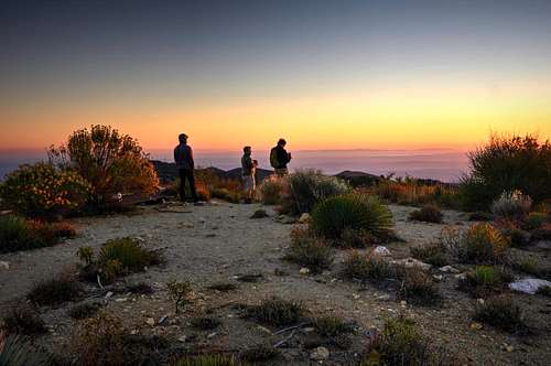 Sunset Peak, San Gabriel Mtns.