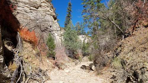 Hiking up Orderville Canyon