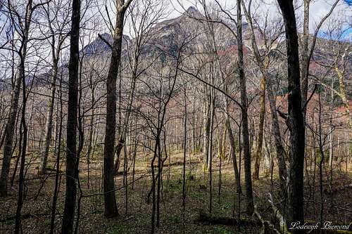 Myojin Dake as seen from the Forest