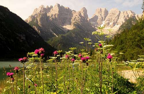 Monte Cristallo north face from the banks of Lago di Landro