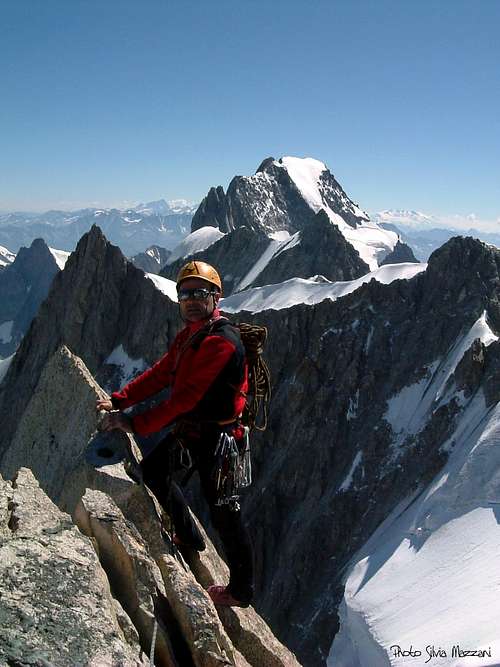 Grandes Jorasses seen from the summit of Dente del Gigante