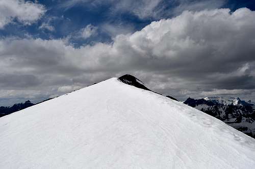 snowy summit of Apikuni