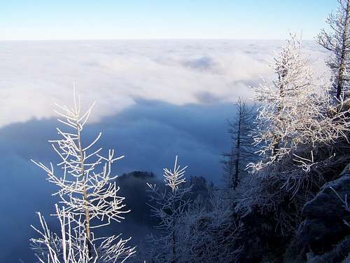 Winter scene on Urslja gora