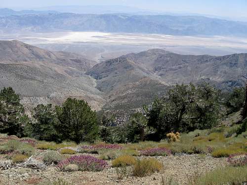 The Alpine Splendor of Death Valley National Park