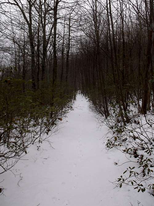Tuscarora Trail in Winter
