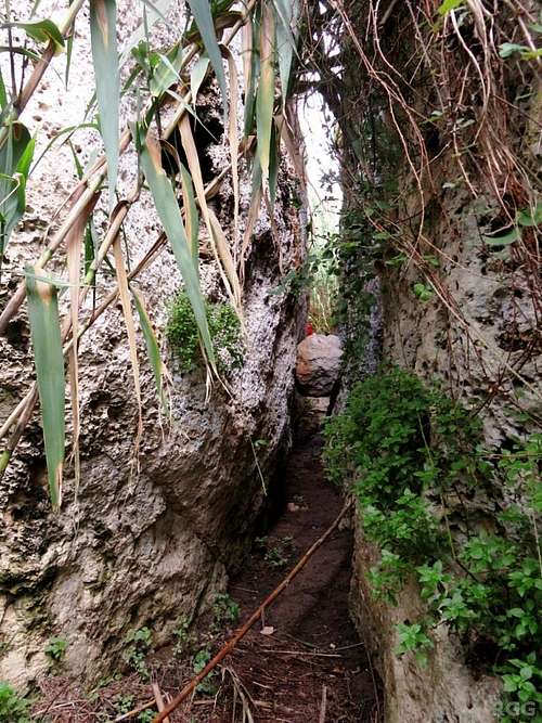 Exploring sector Bamboo Jungle, Munxar Valley
