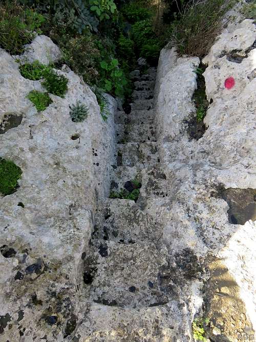 Steps cut in the limestone rocks at Mgarr ix-Xini