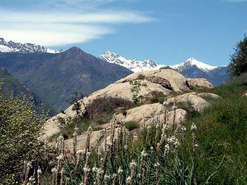 Summit of Corma di Machaby, Aosta Valley