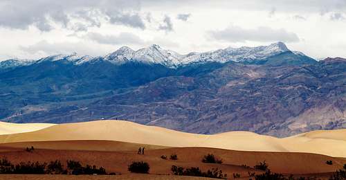 Mesquite Dunes and Snowy Grapevines