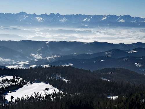 High Tatras from Gorc Kamienicki