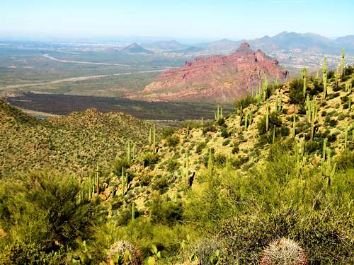 View towards McDowell Mountain (aka Red Mountain) from the summit