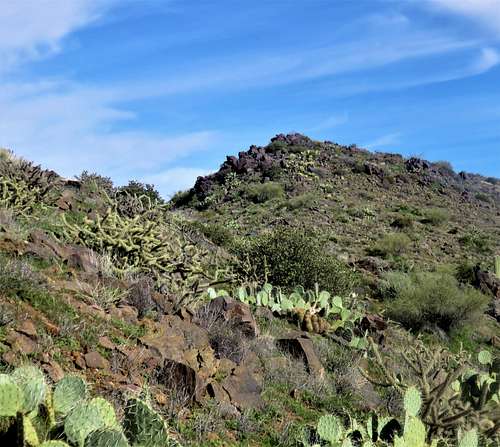 Zoom shot of the summit and surrounding cactus