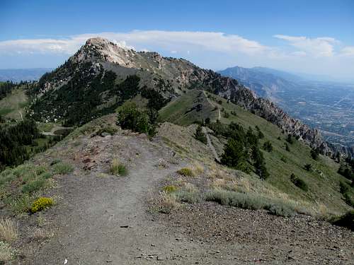 Willard Peak from Point