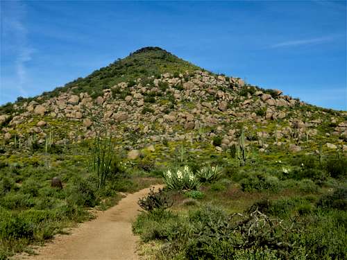 Cone Mountain from the Upper Ranch Trail