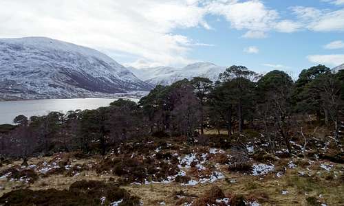 Loch Affric and Caledonian Forest
