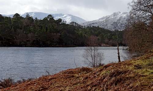 By the shores of Loch Affric