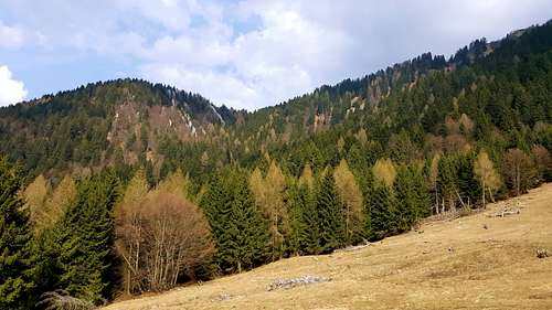 Early spring scenery on the route to Campellet near Malga Ringia