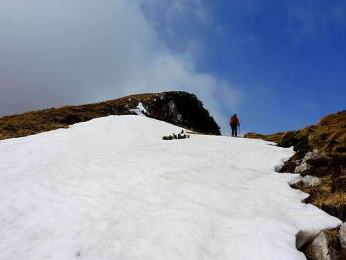 Dosso Alto, snow field along the E ridge