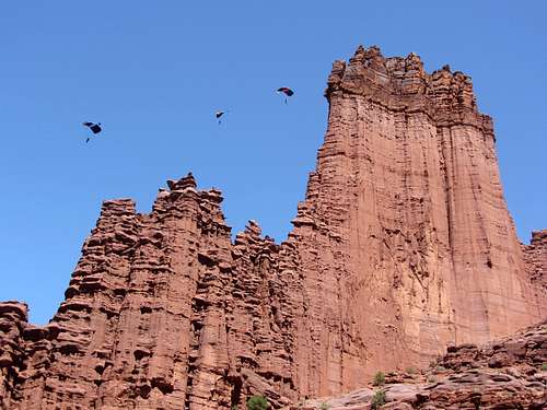 King Fisher parasailers