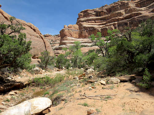Floor of the side canyon