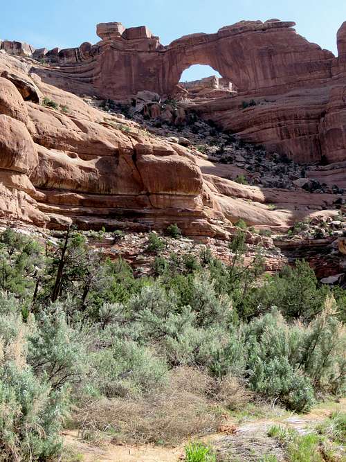 Owl Creek Canyon to Nevills Arch
