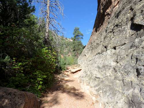 South Fork of Mule Canyon