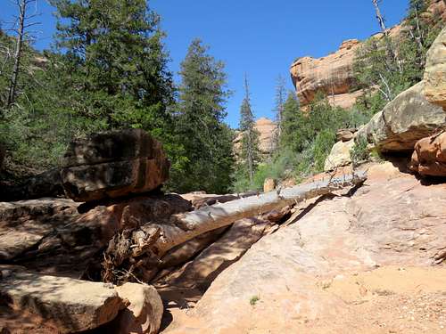 South Fork of Mule Canyon