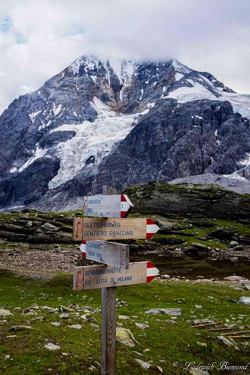 Gran Zebru /Koenig Spitze (3850m)