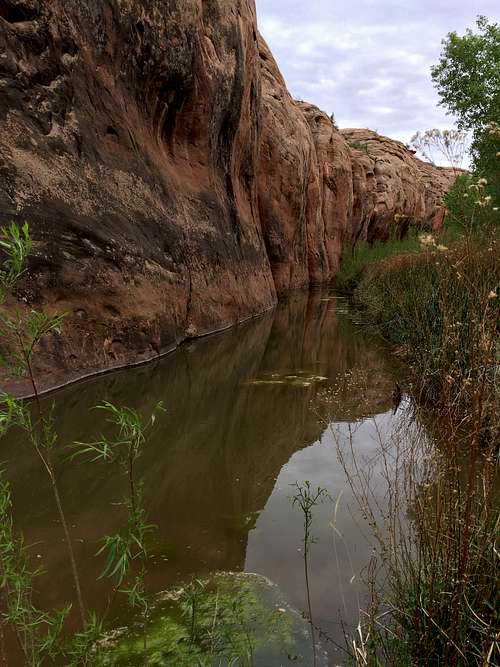Dragonfly Canyon