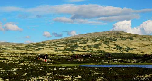 Rondane typical landscape, rich in yellowish lichens
