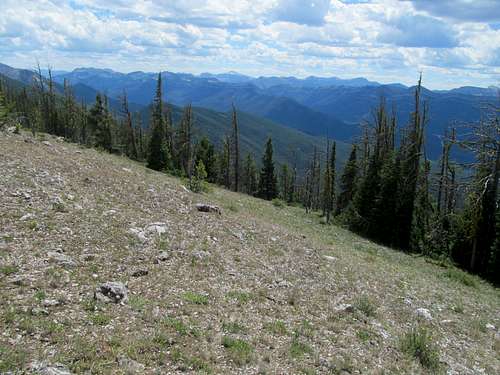 gentle meadows on the traverse