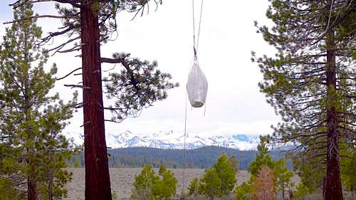 Problem with the PCT Method (Hanging Bear Bags)