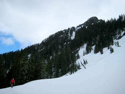 Scott Peak summit from SW at 4400'