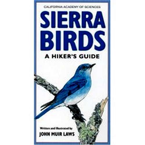 Sierra Birds