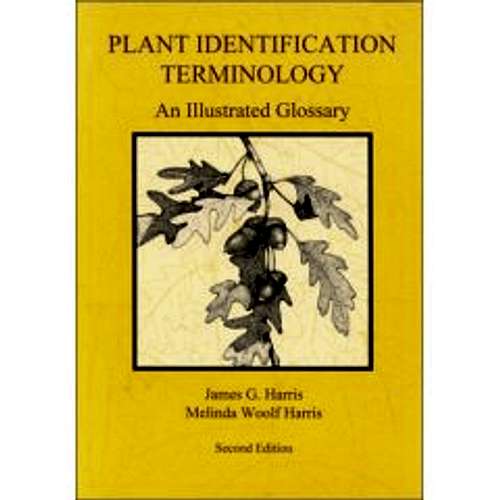 Plant Identification Terminology.  An Illustrated Glossary