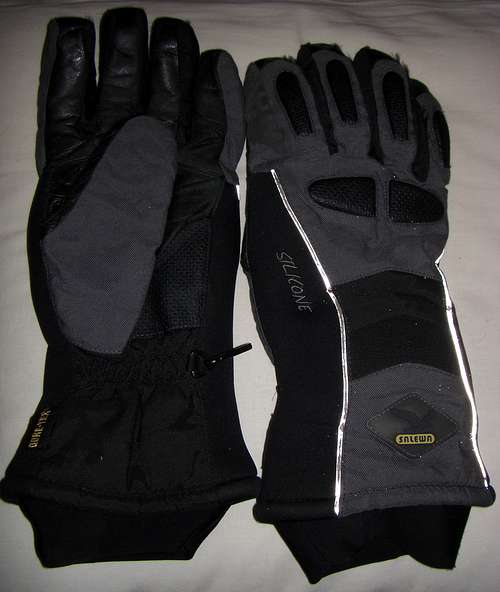 Salewa Ski Extreme gloves