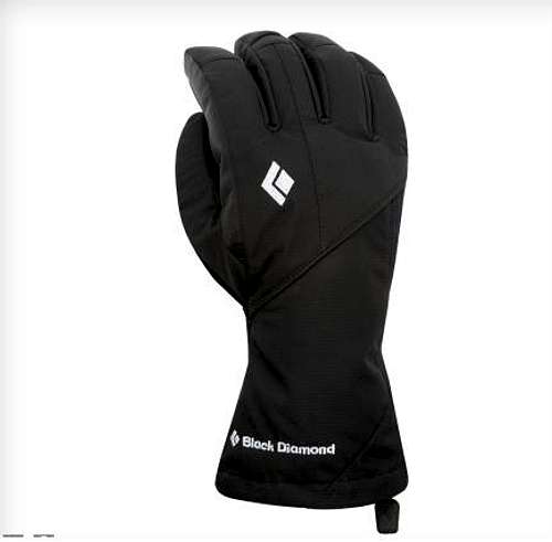 Access BD gloves