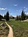 Trail between Lofty Lake and Kamas Lake. 2017