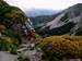 Passo di Pietra Tagliata, Alpe di Succiso