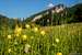 Blooming June in Tatras
