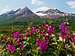 Chilkat Pass Beauty