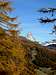 Autumn frame of Matterhorn